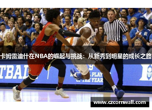 卡姆雷迪什在NBA的崛起与挑战：从新秀到明星的成长之路