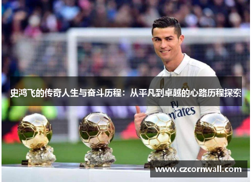 史鸿飞的传奇人生与奋斗历程：从平凡到卓越的心路历程探索