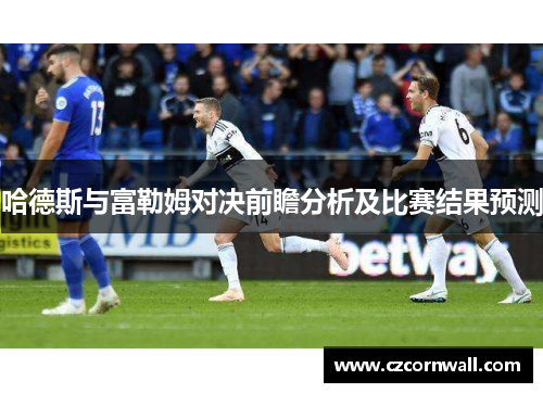 哈德斯与富勒姆对决前瞻分析及比赛结果预测