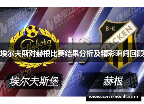 埃尔夫斯对赫根比赛结果分析及精彩瞬间回顾
