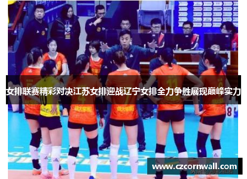 女排联赛精彩对决江苏女排迎战辽宁女排全力争胜展现巅峰实力