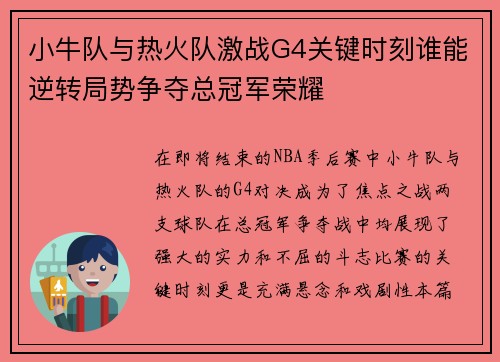小牛队与热火队激战G4关键时刻谁能逆转局势争夺总冠军荣耀