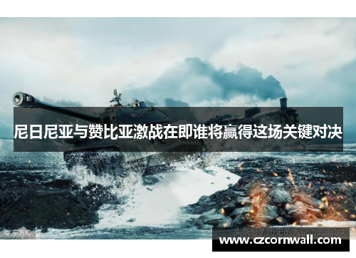 尼日尼亚与赞比亚激战在即谁将赢得这场关键对决