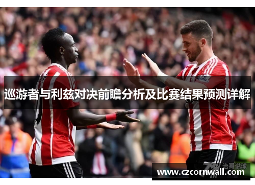 巡游者与利兹对决前瞻分析及比赛结果预测详解