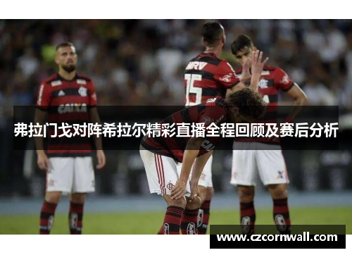 弗拉门戈对阵希拉尔精彩直播全程回顾及赛后分析